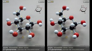 beta-D-glucopiranosa (ecuatorial) beta-D-glucopiranosa (ecuatorial)