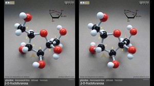 beta-D-fructofuranosa beta-D-fructofuranosa