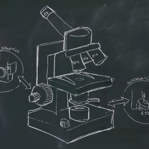 Botánica Microscópica